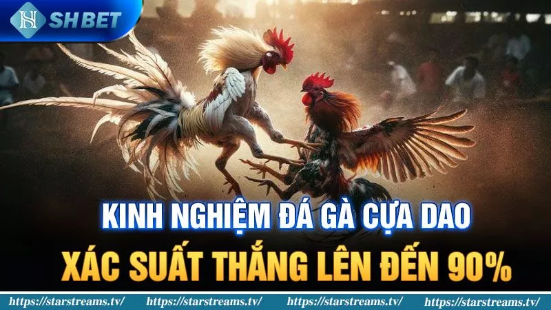 Các thể loại game phổ biến trên các cổng game cấp Hl8 - Hl8