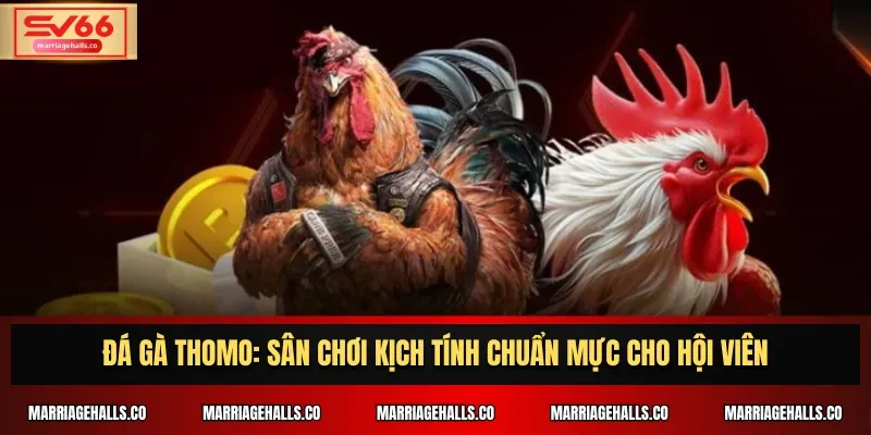 Chúng tôi sẽ đánh giá các trang web chơi game được xếp hạng G6bet dựa trên tính hợp pháp và các dịch vụ mà chúng cung cấp - G6bet