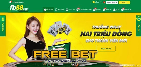 Dp568 cung cấp các ưu đãi đặc biệt và các chương trình khuyến mãi khác dành cho thành viên mới - Dp568