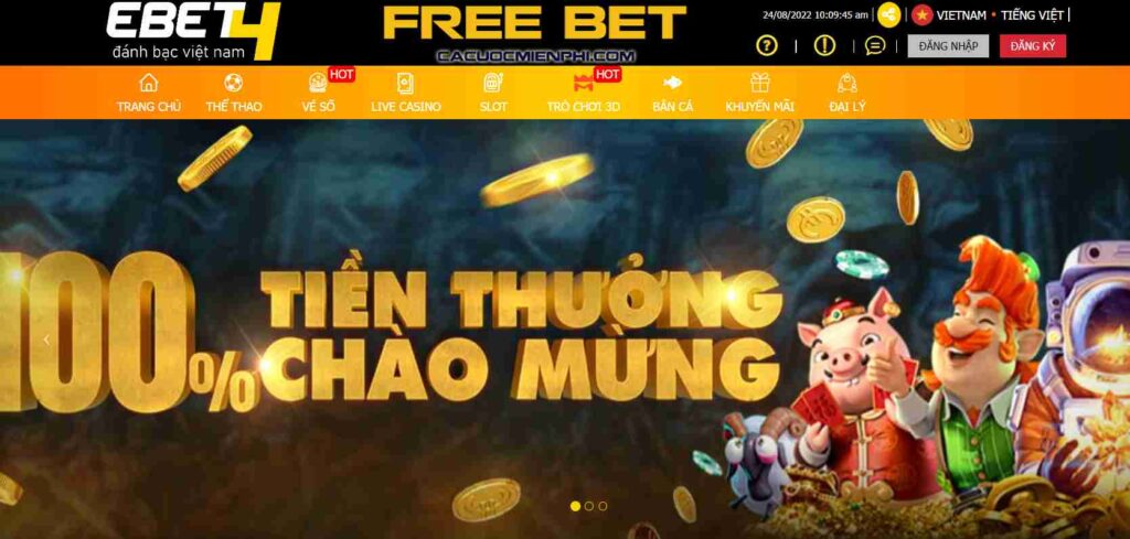 Tìm hiểu về Cổng thông tin trò chơi Wibo88 - Wibo88