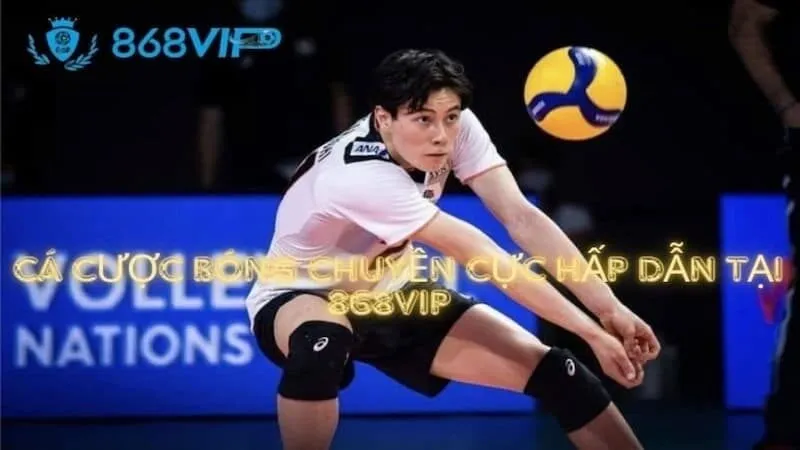 Tại sao bạn lại chọn tham gia các trận đấu bóng đá cấp độ 1Win? - 1Win