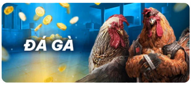 Bản tóm tắt chính xác nhất về ưu điểm và nhược điểm của việc đánh bạc được xếp hạng Pkwin - Pkwin