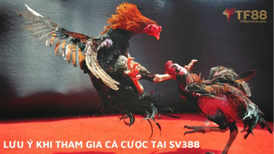 Banca30 mang đến trải nghiệm chơi Sic Bo trực tuyến tốt nhất - Banca30