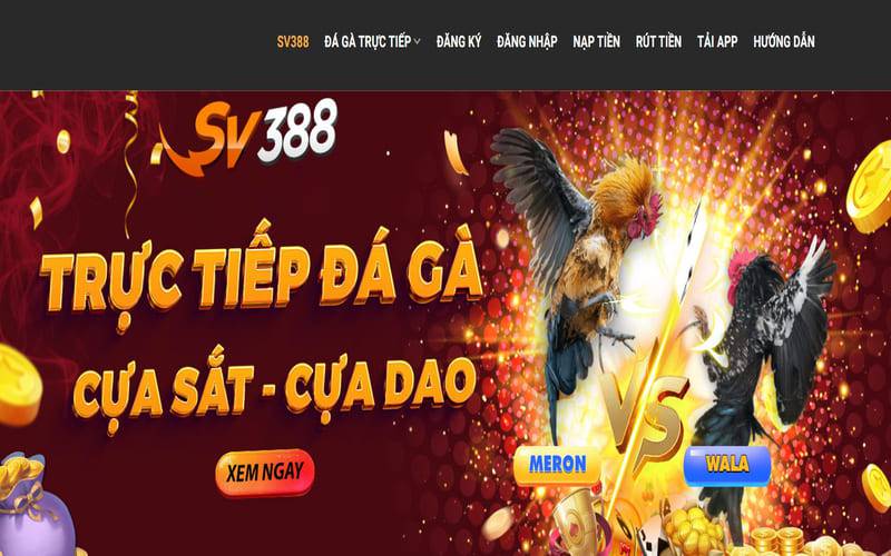 Mẹo cá cược thể thao King88 dành cho người mới bắt đầu - King88