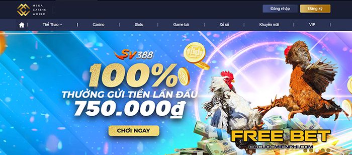 K8cc có những hoạt động khuyến mãi nào? - K8cc