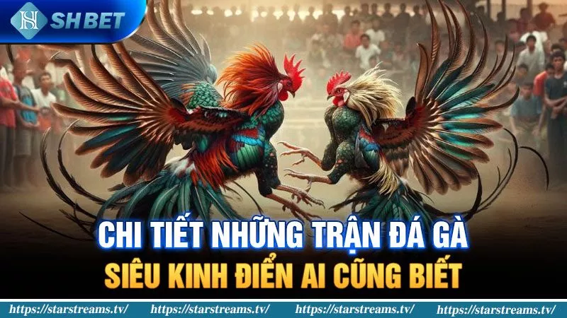 Một máy chơi game thuộc phân khúc Natra88 có thể chơi được những tựa game nào? - Natra88